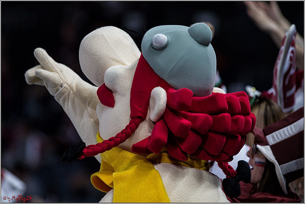 IIHF WM 2017, Schweden - Lettland, 11.05.2017